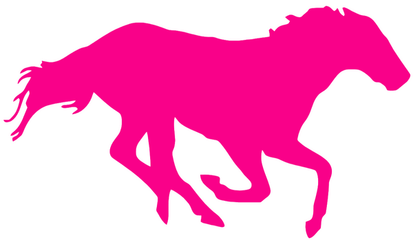 Boise State Broncos Hot Pink Retro Throwback Logo Premium DieCut Vinyl Decal PICK SIZE
