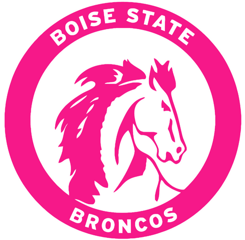 Boise State Broncos Hot Pink Retro Throwback Logo Premium DieCut Vinyl Decal PICK SIZE