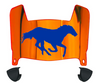 Boise State Broncos Mini Football Helmet Visor Shield w/ Clips - PICK VISOR & LOGO COLOR