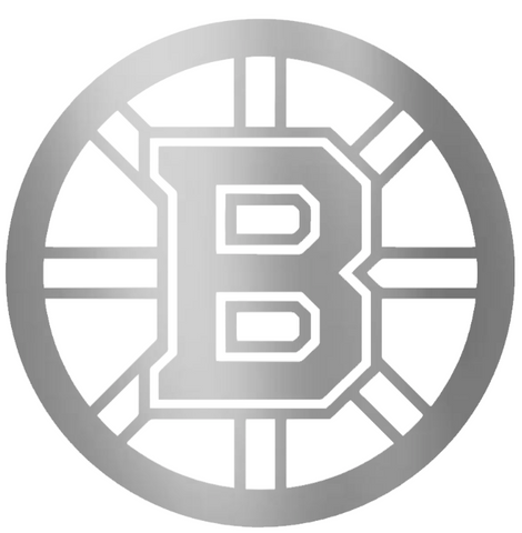 Boston Bruins SILVER CHROME MIRROR Team Logo Premium DieCut Vinyl Decal PICK SIZE