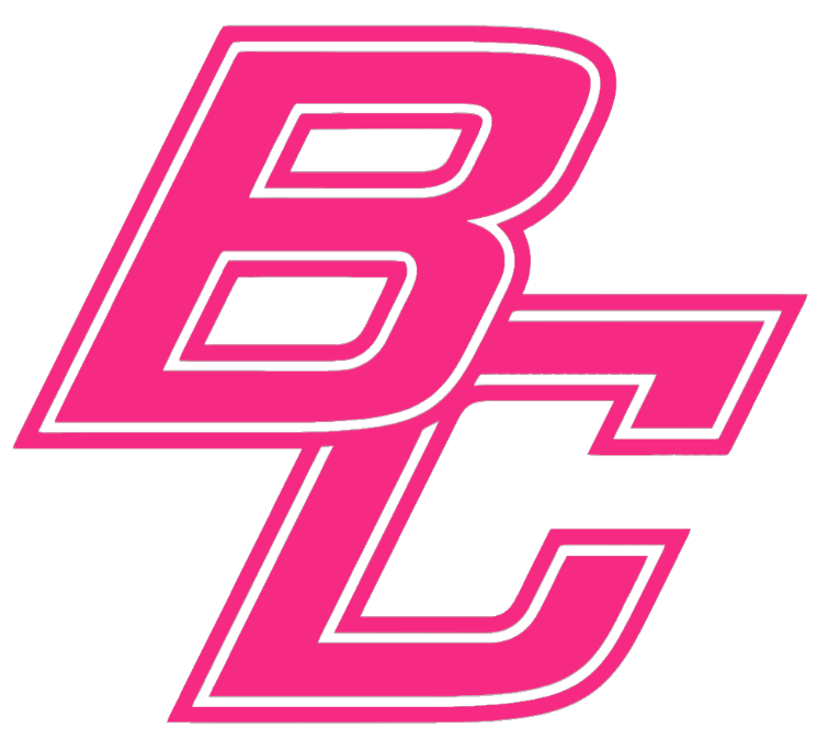 Boston College Eagles HOT PINK BC Logo Premium DieCut Vinyl Decal PICK SIZE