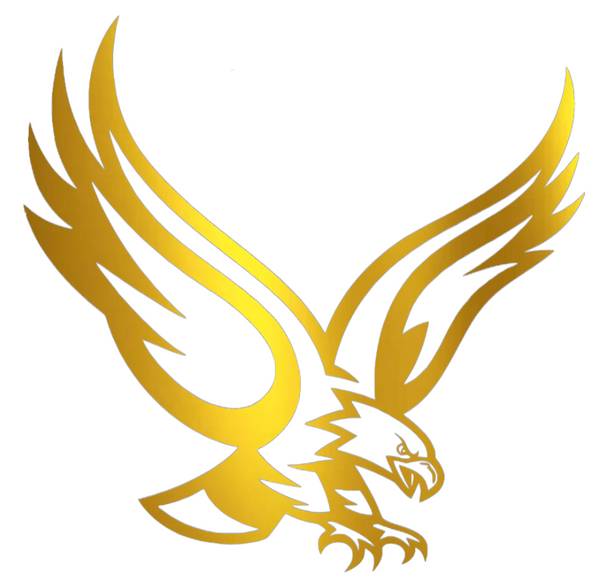 Boston College Eagles GOLD CHROME MIRROR Mascot Logo Premium DieCut Vinyl Decal PICK SIZE
