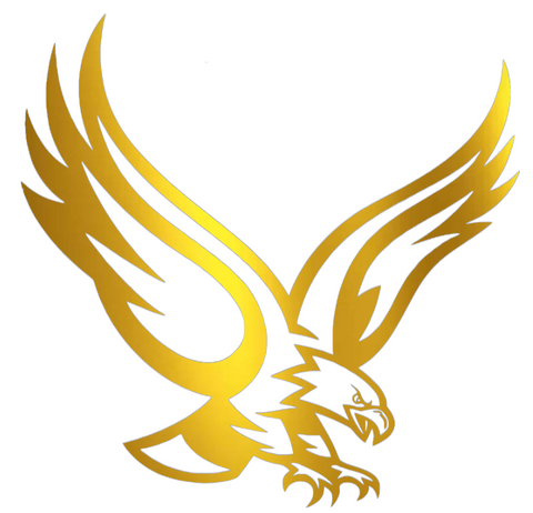 Boston College Eagles GOLD CHROME MIRROR Mascot Logo Premium DieCut Vinyl Decal PICK SIZE