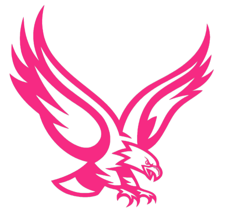 Boston College Eagles HOT PINK Mascot Logo Premium DieCut Vinyl Decal PICK SIZE