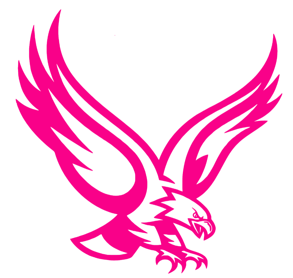 Boston College Eagles Hot Pink Mascot Logo Premium DieCut Vinyl Decal PICK SIZE