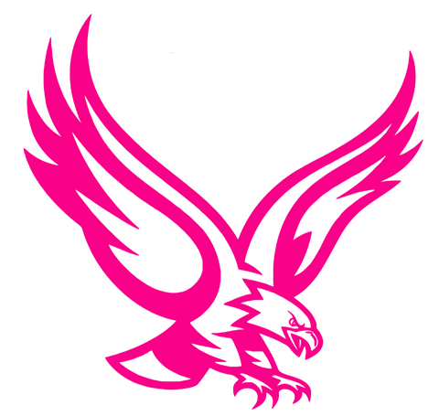 Boston College Eagles Hot Pink Mascot Logo Premium DieCut Vinyl Decal PICK SIZE