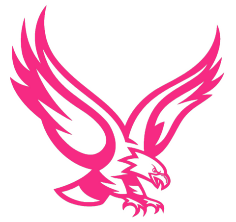 Boston College Eagles HOT PINK Mascot Logo Premium DieCut Vinyl Decal PICK SIZE