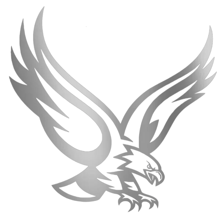 Boston College Eagles SILVER CHROME MIRROR Mascot Logo Premium DieCut Vinyl Decal PICK SIZE