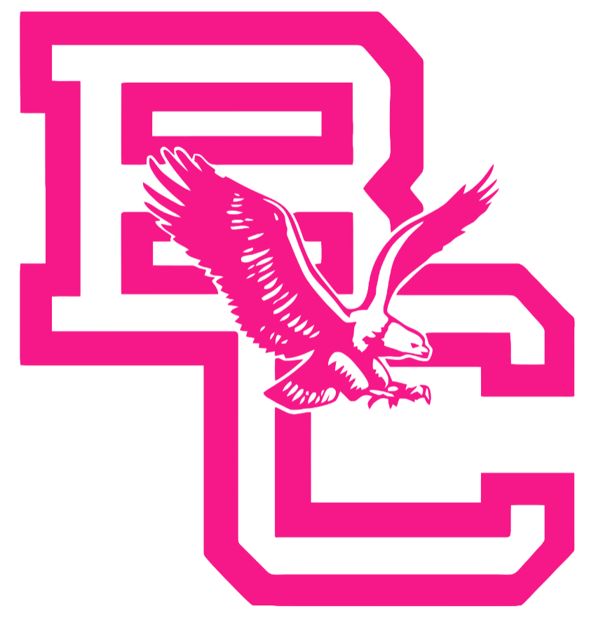 Boston College Eagles Hot Pink Retro Throwback Logo Premium DieCut Vinyl Decal PICK SIZE