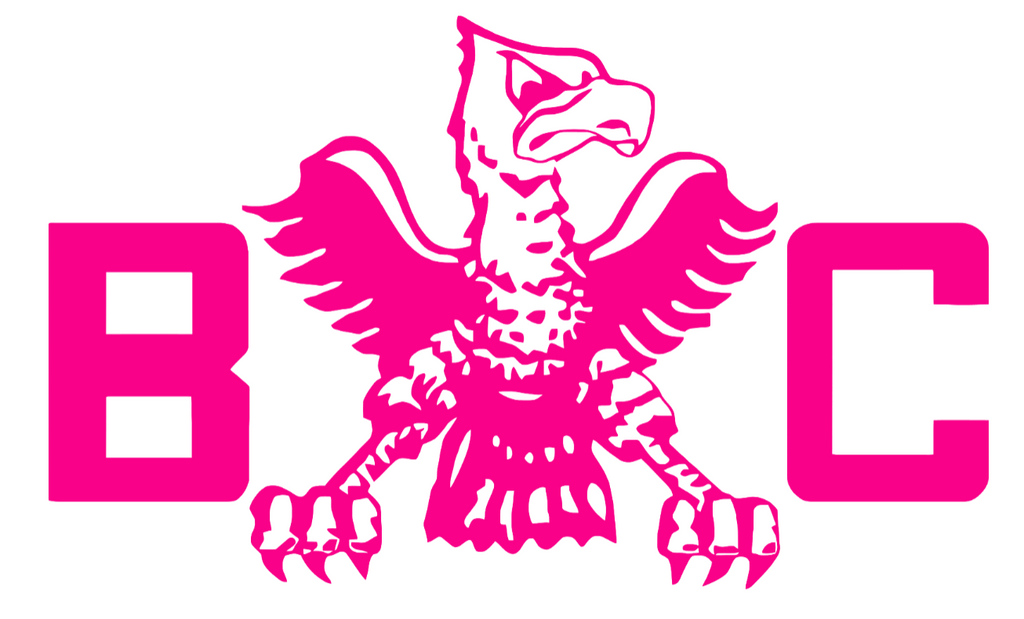 Boston College Eagles Hot Pink Retro Throwback Logo Premium DieCut Vinyl Decal PICK SIZE
