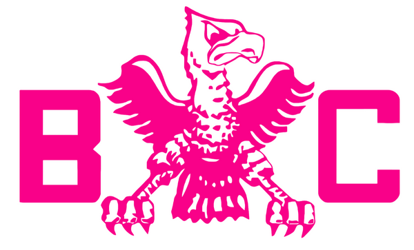 Boston College Eagles Hot Pink Retro Throwback Logo Premium DieCut Vinyl Decal PICK SIZE