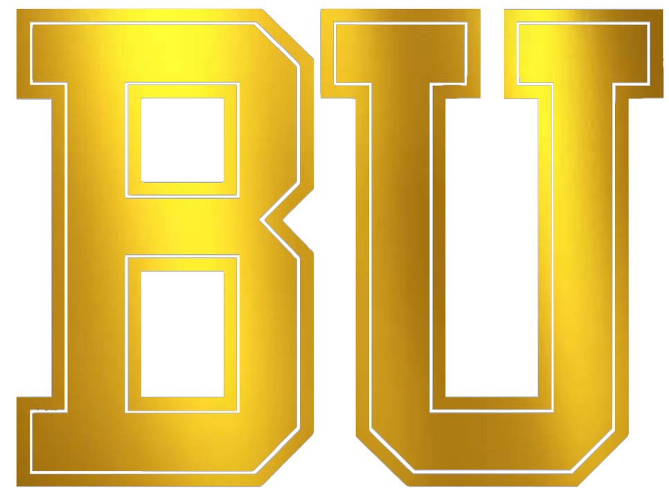 Boston University Terriers GOLD CHROME MIRROR Team Logo Premium DieCut Vinyl Decal PICK SIZE