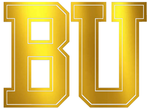 Boston University Terriers GOLD CHROME MIRROR Team Logo Premium DieCut Vinyl Decal PICK SIZE