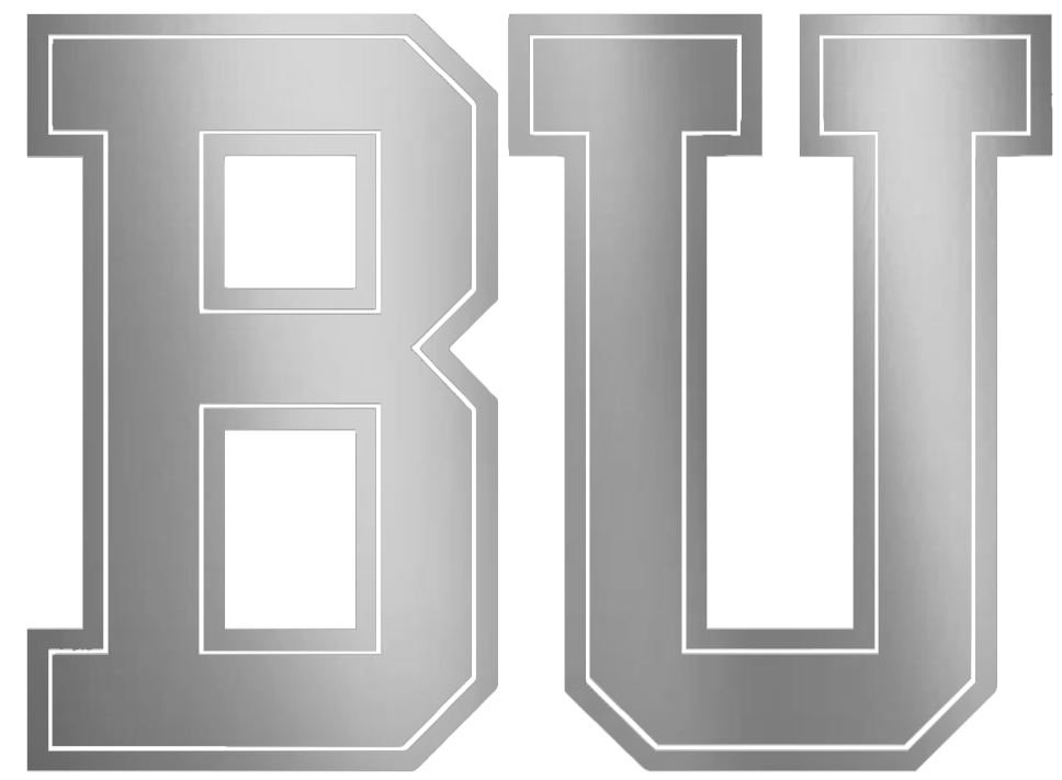 Boston University Terriers SILVER CHROME MIRROR Team Logo Premium DieCut Vinyl Decal PICK SIZE