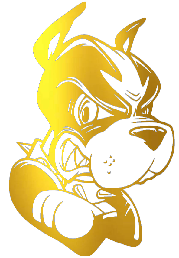 Boston University Terriers GOLD CHROME MIRROR Mascot Logo Premium DieCut Vinyl Decal PICK SIZE