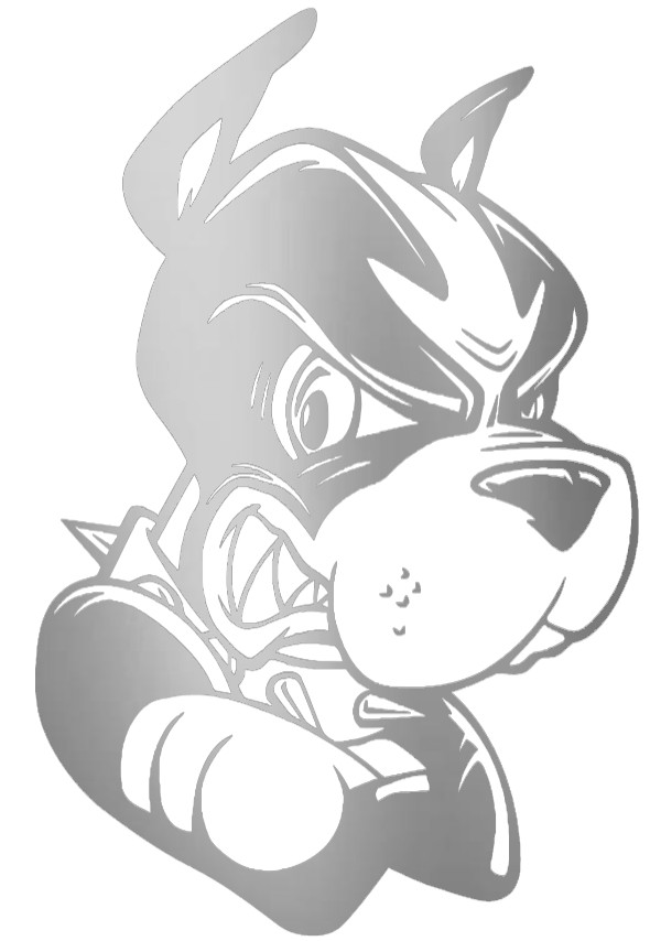 Boston University Terriers SILVER CHROME MIRROR Mascot Logo Premium DieCut Vinyl Decal PICK SIZE