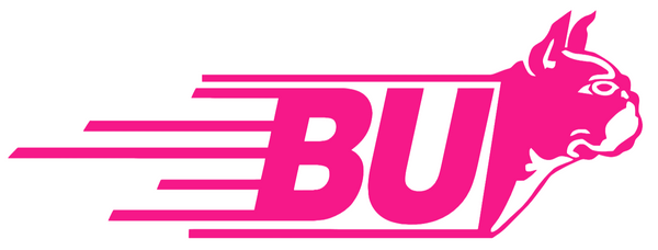 Boston University Terriers Hot Pink Retro Throwback Logo Premium DieCut Vinyl Decal PICK SIZE