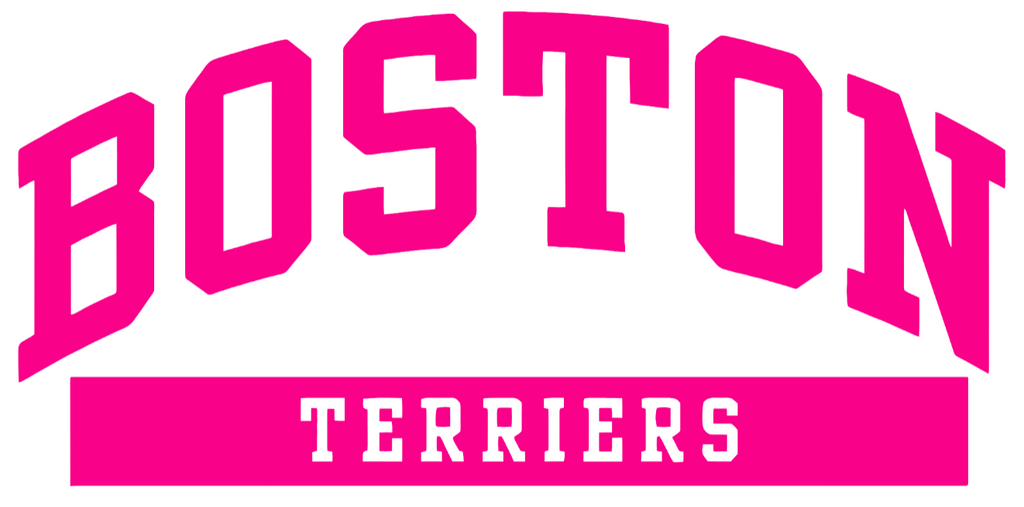 Boston University Terriers Hot Pink Team Name Logo Premium DieCut Vinyl Decal PICK SIZE