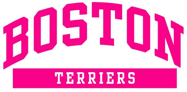 Boston University Terriers Hot Pink Team Name Logo Premium DieCut Vinyl Decal PICK SIZE