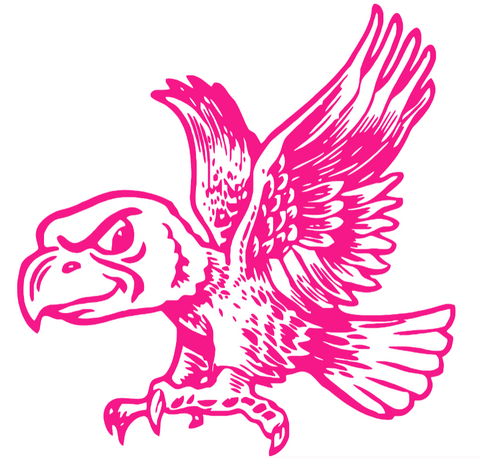 Bowling Green Falcons Hot Pink Retro Throwback Logo Premium DieCut Vinyl Decal PICK SIZE