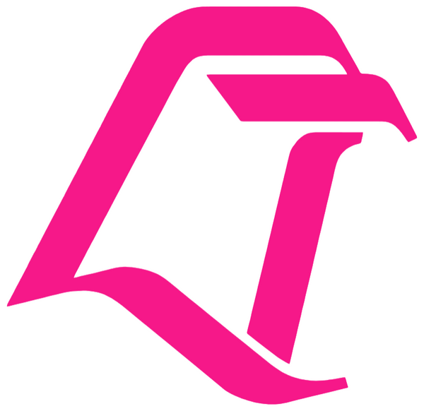 Bowling Green Falcons Hot Pink Retro Throwback Logo Premium DieCut Vinyl Decal PICK SIZE