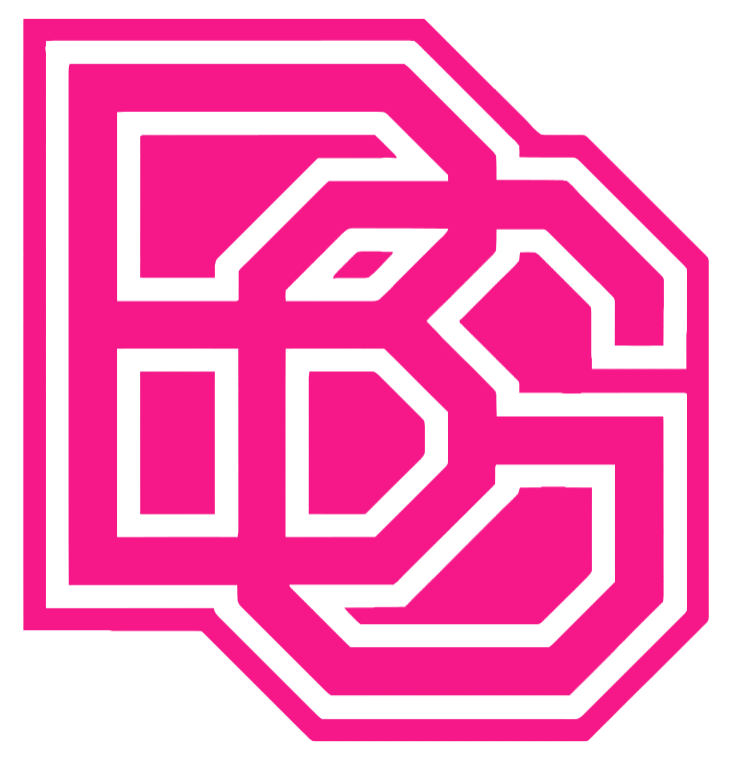 Bowling Green Falcons Hot Pink Retro Throwback Logo Premium DieCut Vinyl Decal PICK SIZE