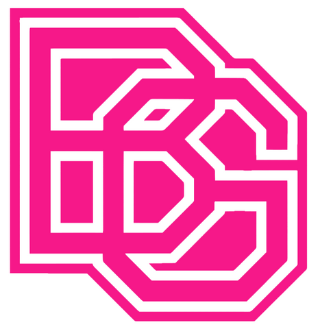 Bowling Green Falcons Hot Pink Retro Throwback Logo Premium DieCut Vinyl Decal PICK SIZE