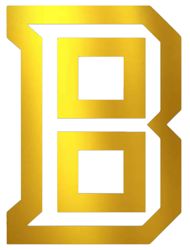Bradley Braves GOLD CHROME MIRROR Alternate B Logo Premium DieCut Vinyl Decal PICK SIZE