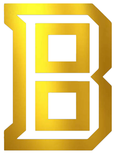 Bradley Braves GOLD CHROME MIRROR Alternate B Logo Premium DieCut Vinyl Decal PICK SIZE