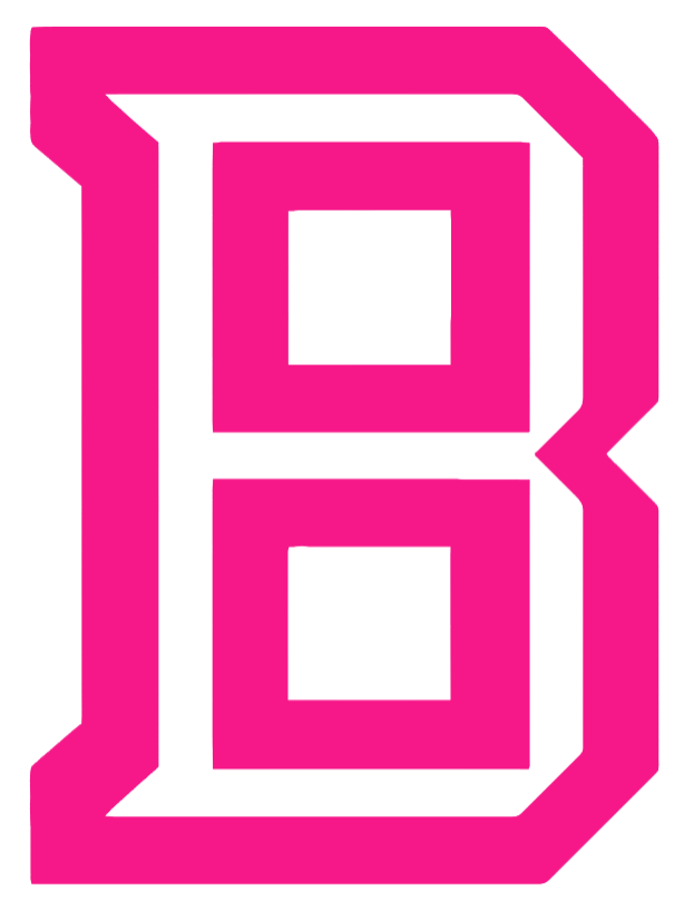 Bradley Braves Hot Pink Alternate B Logo Premium DieCut Vinyl Decal PICK SIZE