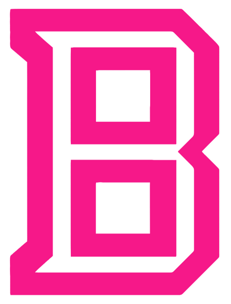 Bradley Braves Hot Pink Alternate B Logo Premium DieCut Vinyl Decal PICK SIZE