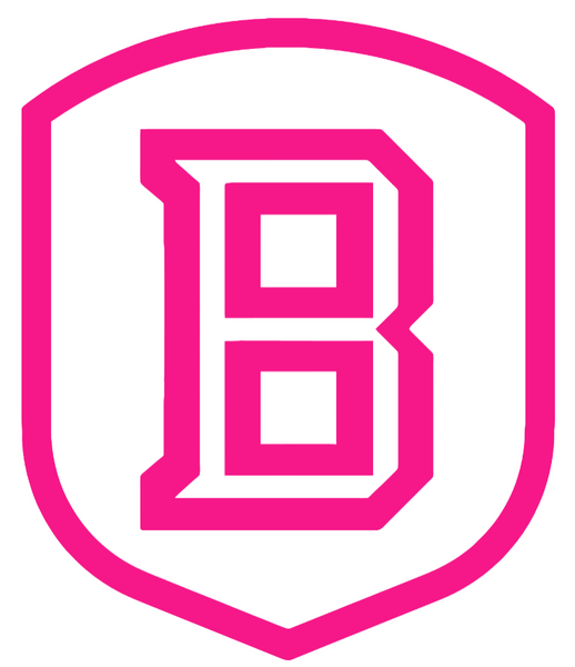 Bradley Braves Hot Pink Team Logo Premium DieCut Vinyl Decal PICK SIZE