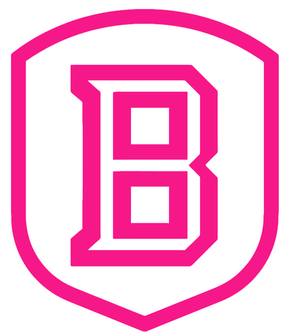 Bradley Braves Hot Pink Team Logo Premium DieCut Vinyl Decal PICK SIZE