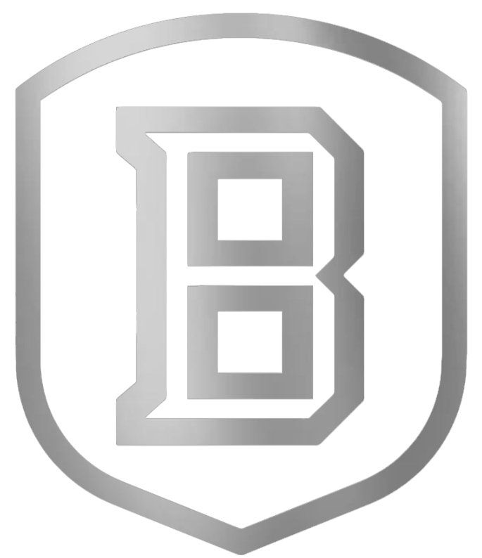 Bradley Braves SILVER CHROME MIRROR Team Logo Premium DieCut Vinyl Decal PICK SIZE