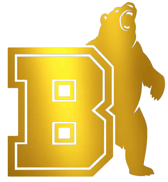 Brown Bears GOLD CHROME MIRROR Alternate Team Logo Premium DieCut Vinyl Decal PICK SIZE