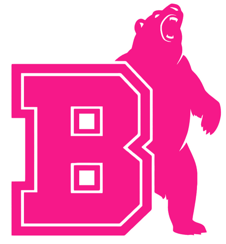 Brown Bears Hot Pink Alternate Team Logo Premium DieCut Vinyl Decal PICK SIZE