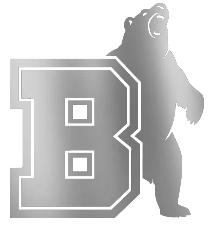 Brown Bears SILVER CHROME MIRROR Alternate Team Logo Premium DieCut Vinyl Decal PICK SIZE