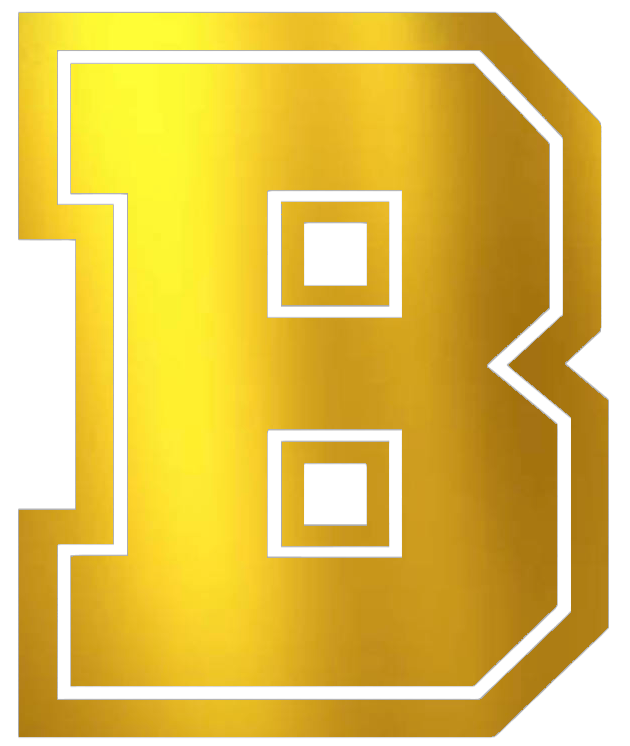 Brown Bears GOLD CHROME MIRROR Team Logo Premium DieCut Vinyl Decal PICK SIZE