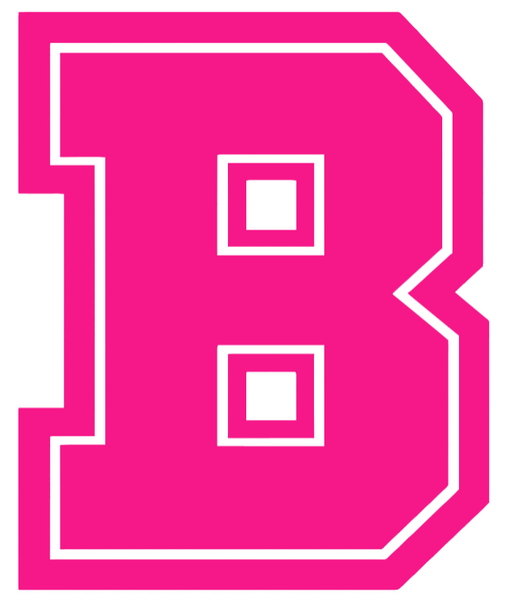 Brown Bears Hot Pink Team Logo Premium DieCut Vinyl Decal PICK SIZE