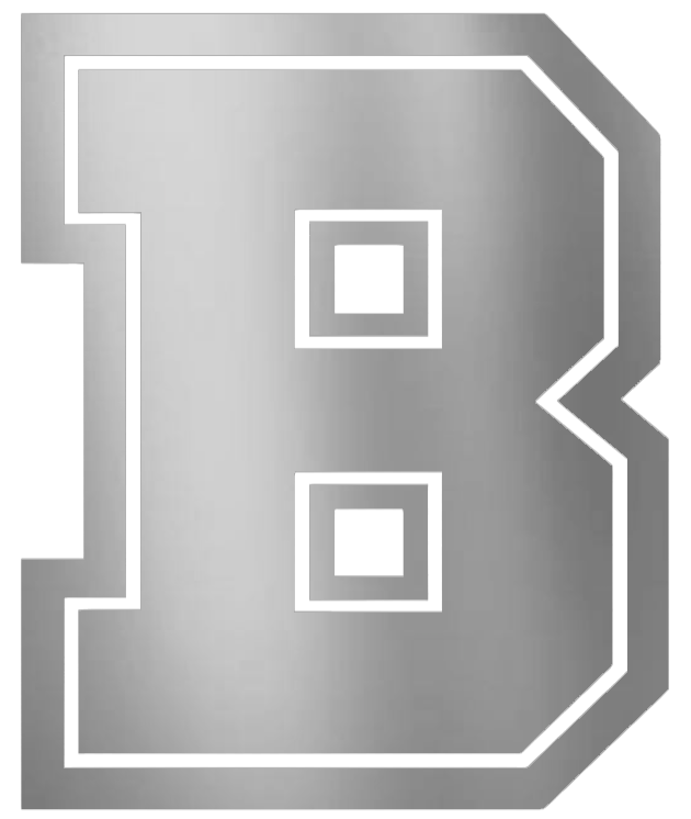 Brown Bears SILVER CHROME MIRROR Team Logo Premium DieCut Vinyl Decal PICK SIZE