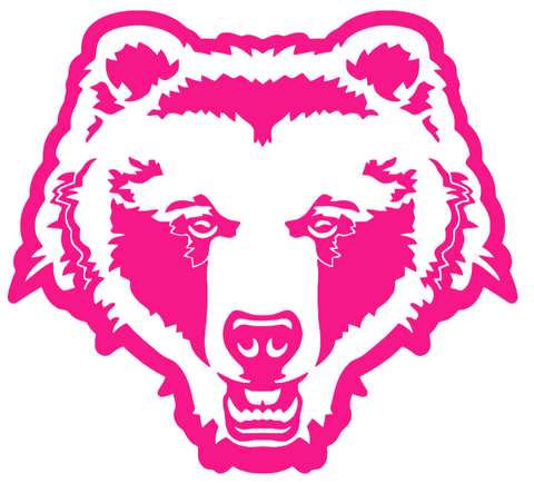 Brown Bears Hot Pink Retro Throwback Logo Premium DieCut Vinyl Decal PICK SIZE