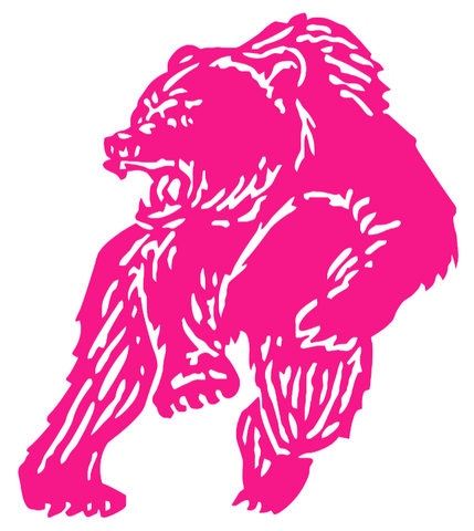 Brown Bears Hot Pink Retro Throwback Logo Premium DieCut Vinyl Decal PICK SIZE