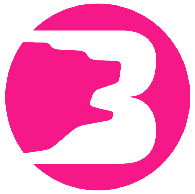 Brown Bears Hot Pink Retro Throwback Logo Premium DieCut Vinyl Decal PICK SIZE