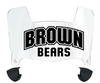 Brown Bears Mini Football Helmet Visor Shield w/ Clips - PICK VISOR & LOGO COLOR