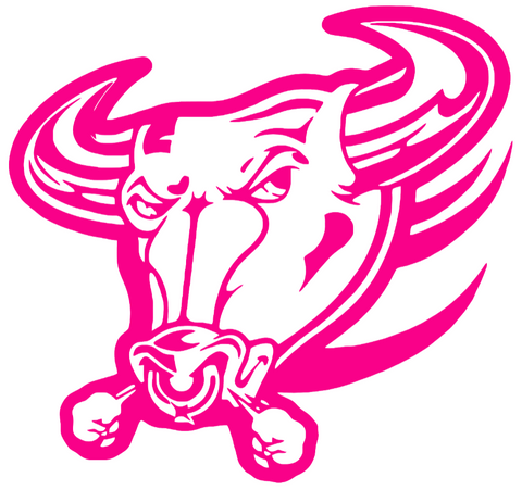 Buffalo Bulls Hot Pink Retro Throwback Logo Premium DieCut Vinyl Decal PICK SIZE