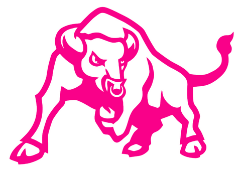 Buffalo Bulls Hot Pink Retro Throwback Logo Premium DieCut Vinyl Decal PICK SIZE