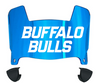 Buffalo Bulls Mini Football Helmet Visor Shield w/ Clips - PICK VISOR & LOGO COLOR
