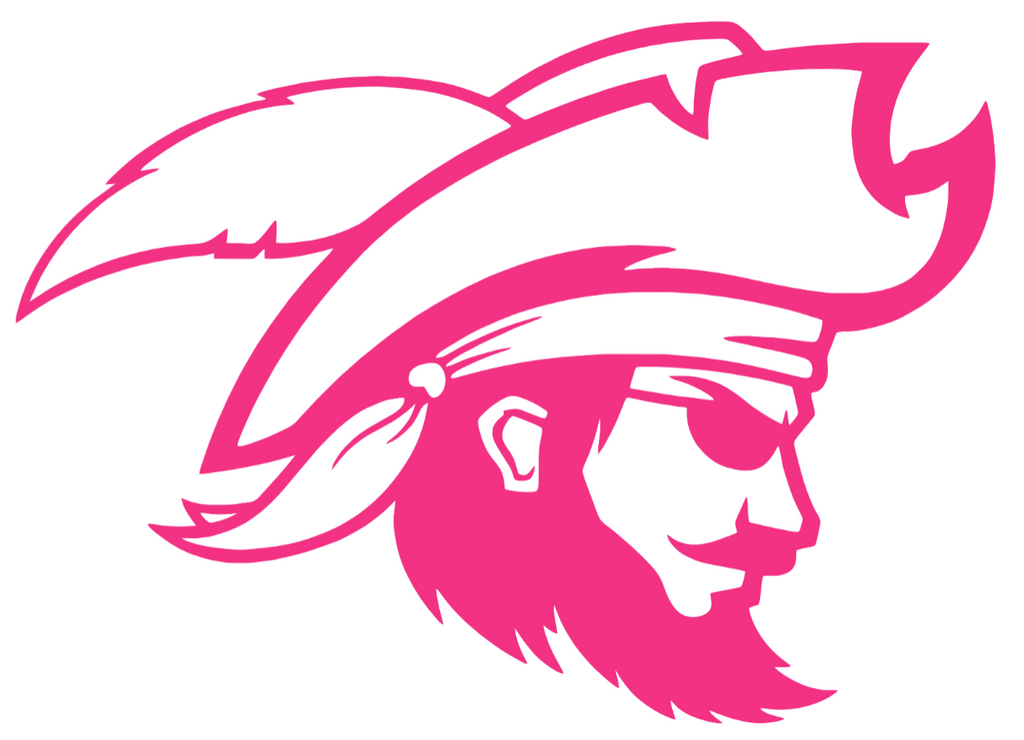 CSU Buccaneers HOT PINK Team Logo Premium DieCut Vinyl Decal PICK SIZE
