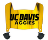 Cal Davis Aggies Mini Football Helmet Visor Shield w/ Clips - PICK VISOR & LOGO COLOR