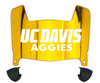 Cal Davis Aggies Mini Football Helmet Visor Shield w/ Clips - PICK VISOR & LOGO COLOR